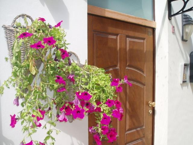 Bed And Roses Hotel Montesilvano Marina Exterior foto